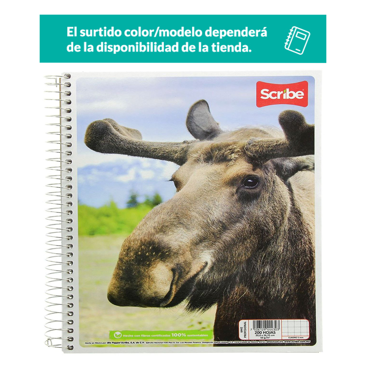 Cuaderno Profesional Scribe Mega Plus Cuadro Chico Hojas Delsol