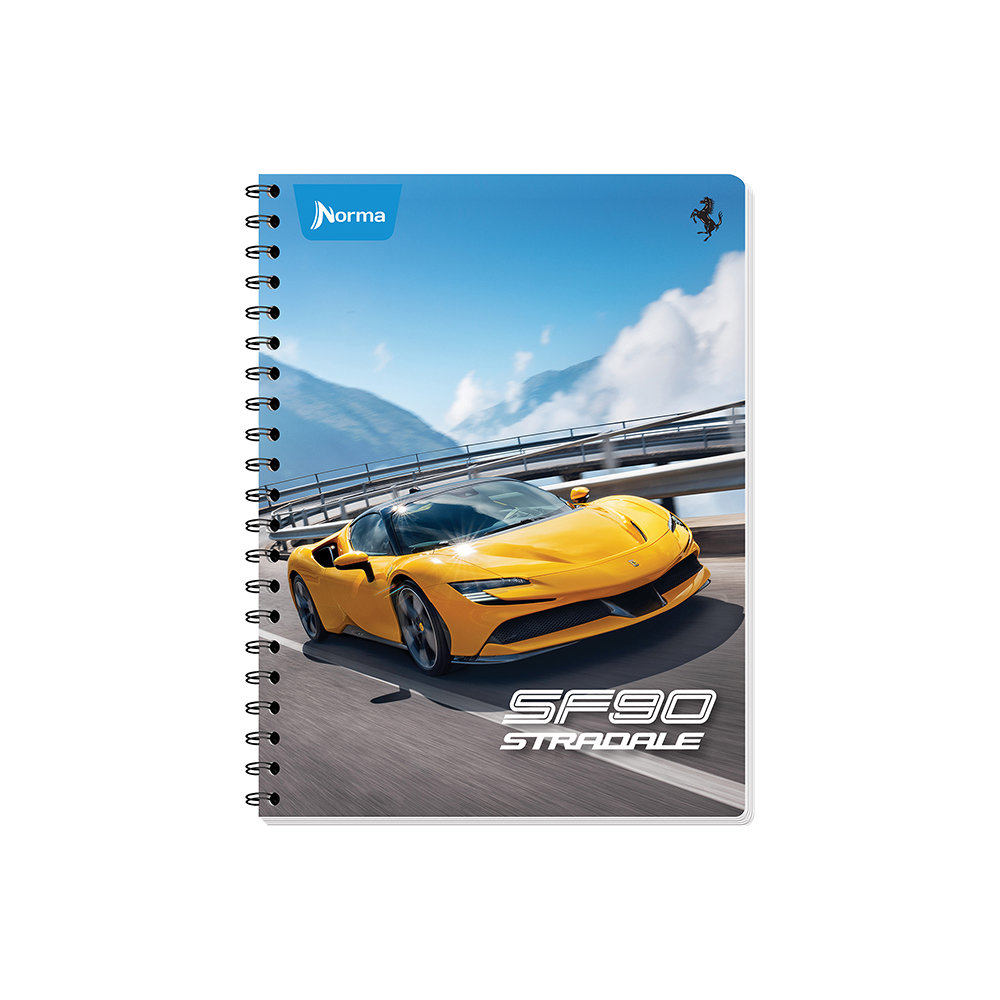 Cuaderno Profesional Norma Ferrari Cuadro Chico Hojas Delsol