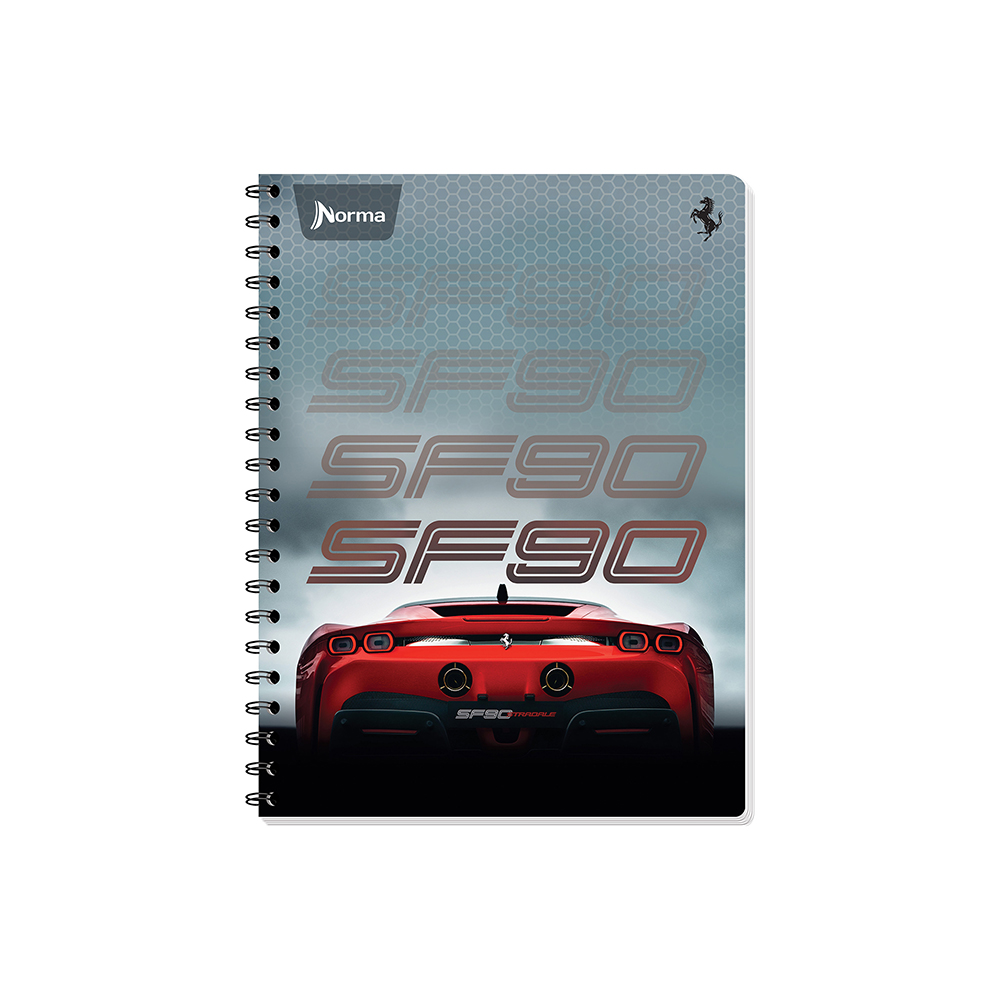 Cuaderno Profesional Norma Ferrari Cuadro Chico Hojas Delsol