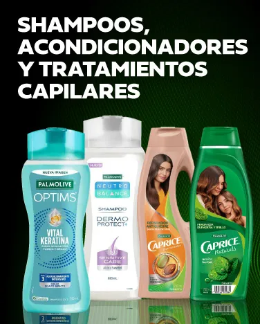 Shampoos, acondicionadores y tratamientos capilares. 