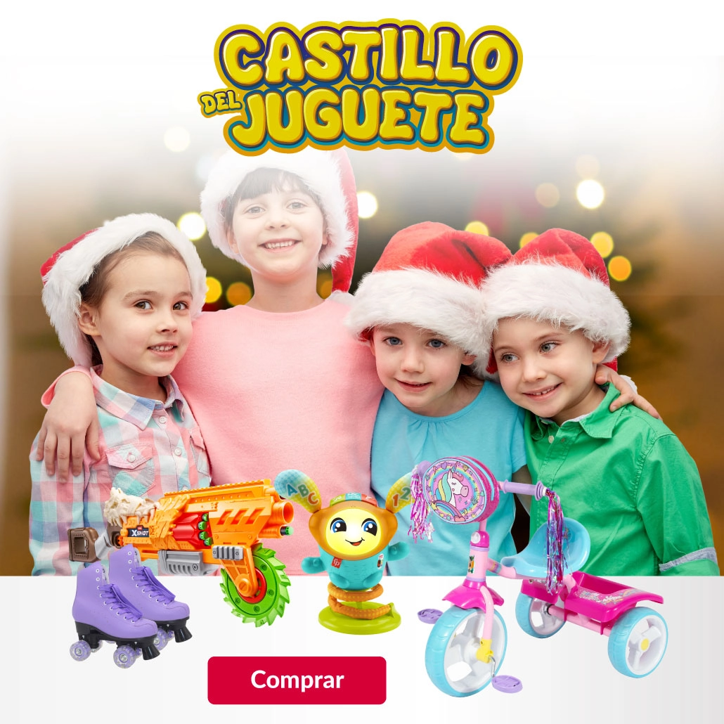 Castillo del juguete 