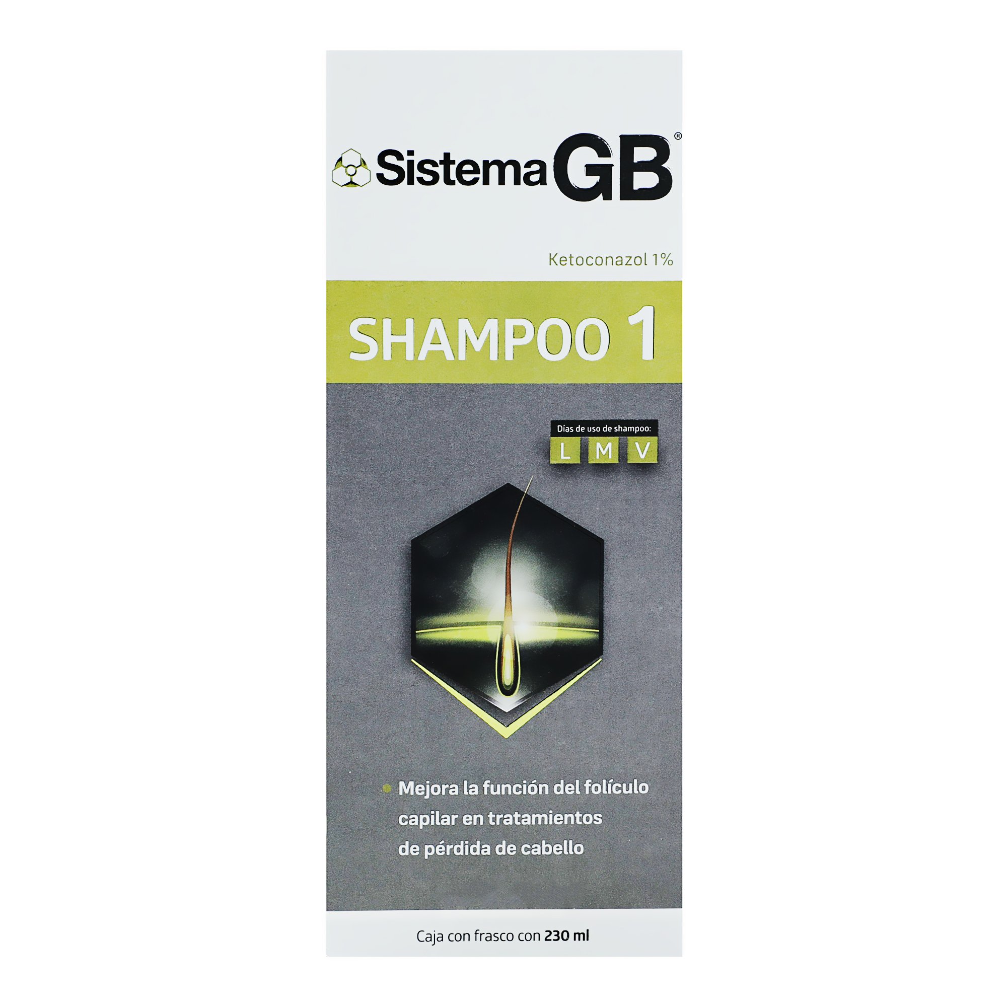 Shampoo Sistema GB Tratamiento para la Alopecia 230 ml | DelSol