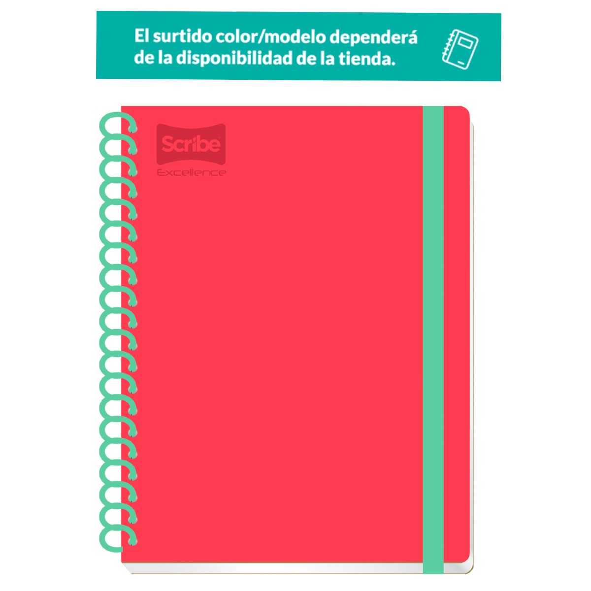 Cuaderno Profesional Scribe Excellence Cuadro Grande 100 Hojas | DelSol