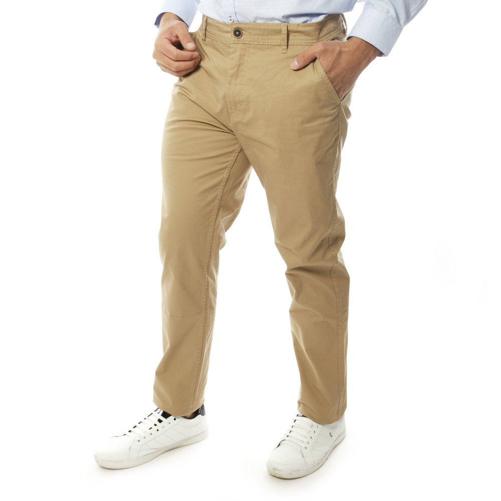 Camel_#724625