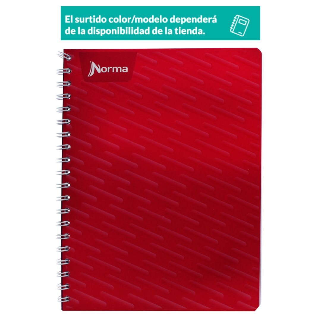 Cuaderno Profesional Norma Cuadro Chico 100 Hojas