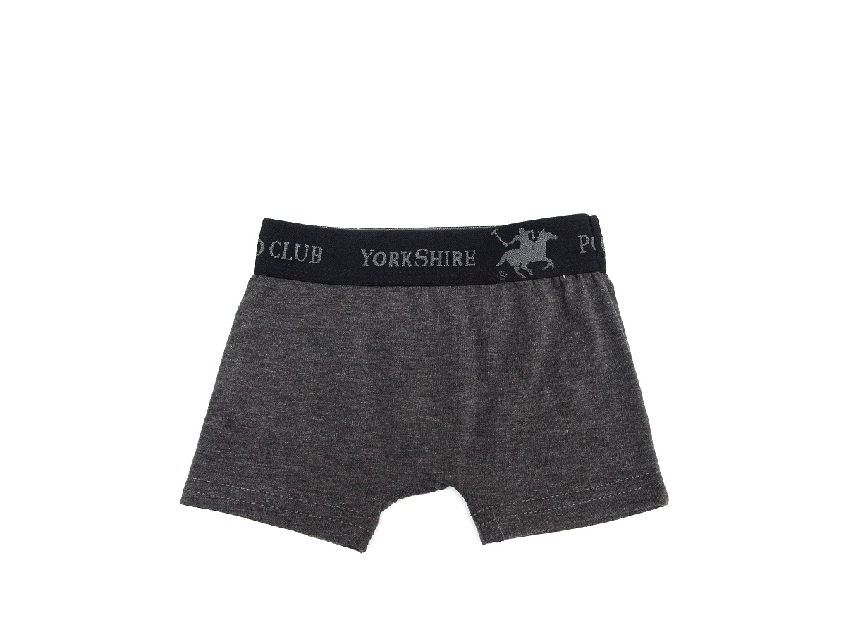 Paquete De 2 Boxer Para Bebe Delsol